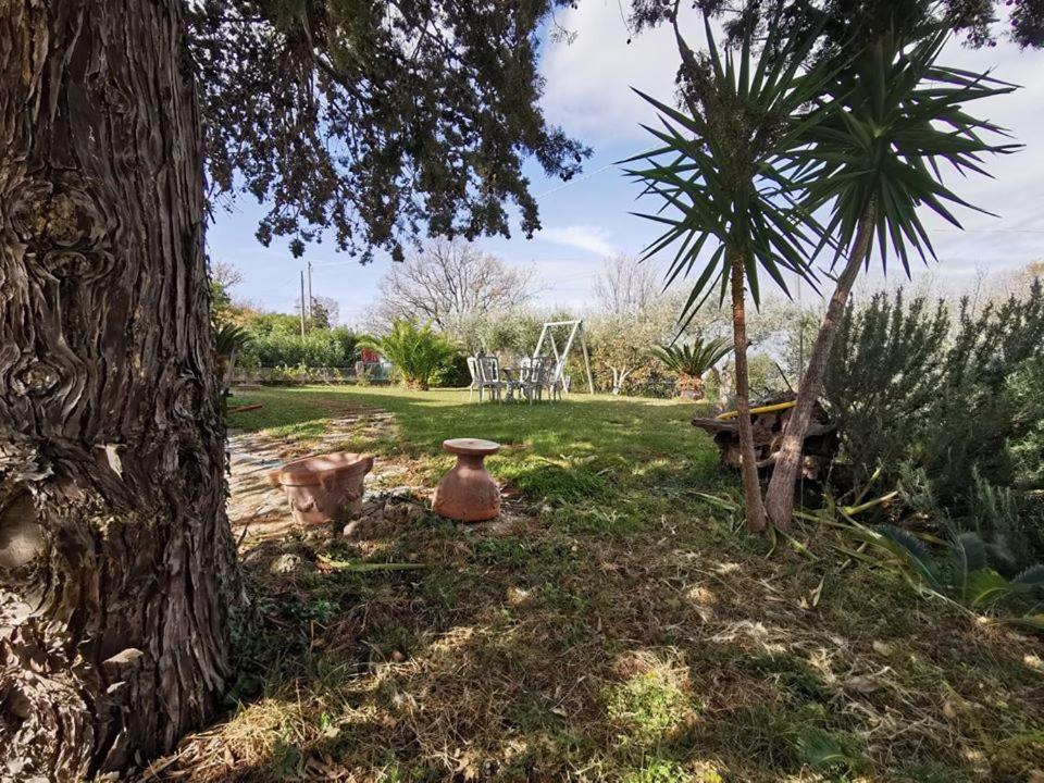 Bed & Breakfast Villa Flora Eredita Exterior foto